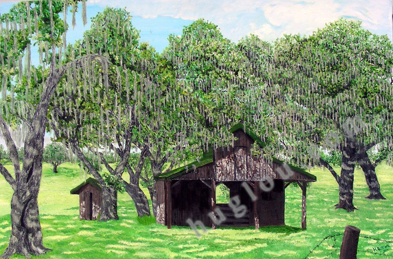 HORSE PASTURE